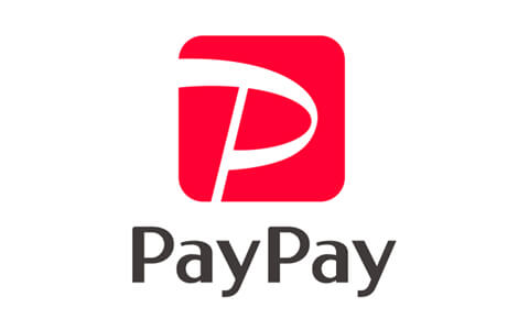 pay_pay