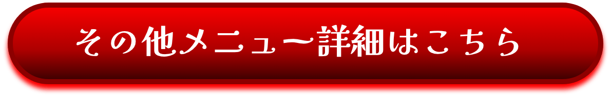 その他のメニュー詳細を見る