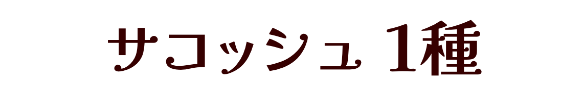 サコッシュ１種