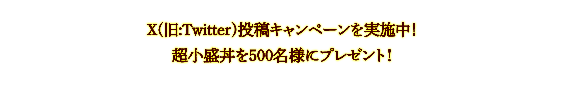 X（旧Twitter）投稿キャンペーンを実施中！超小盛り丼を500名様にプレゼント！