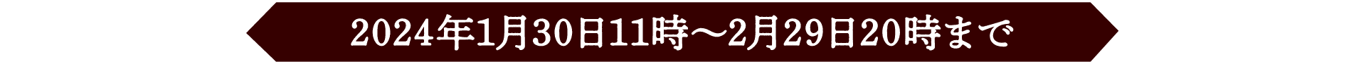 2024年1月30日11時〜年2月20日20時まで