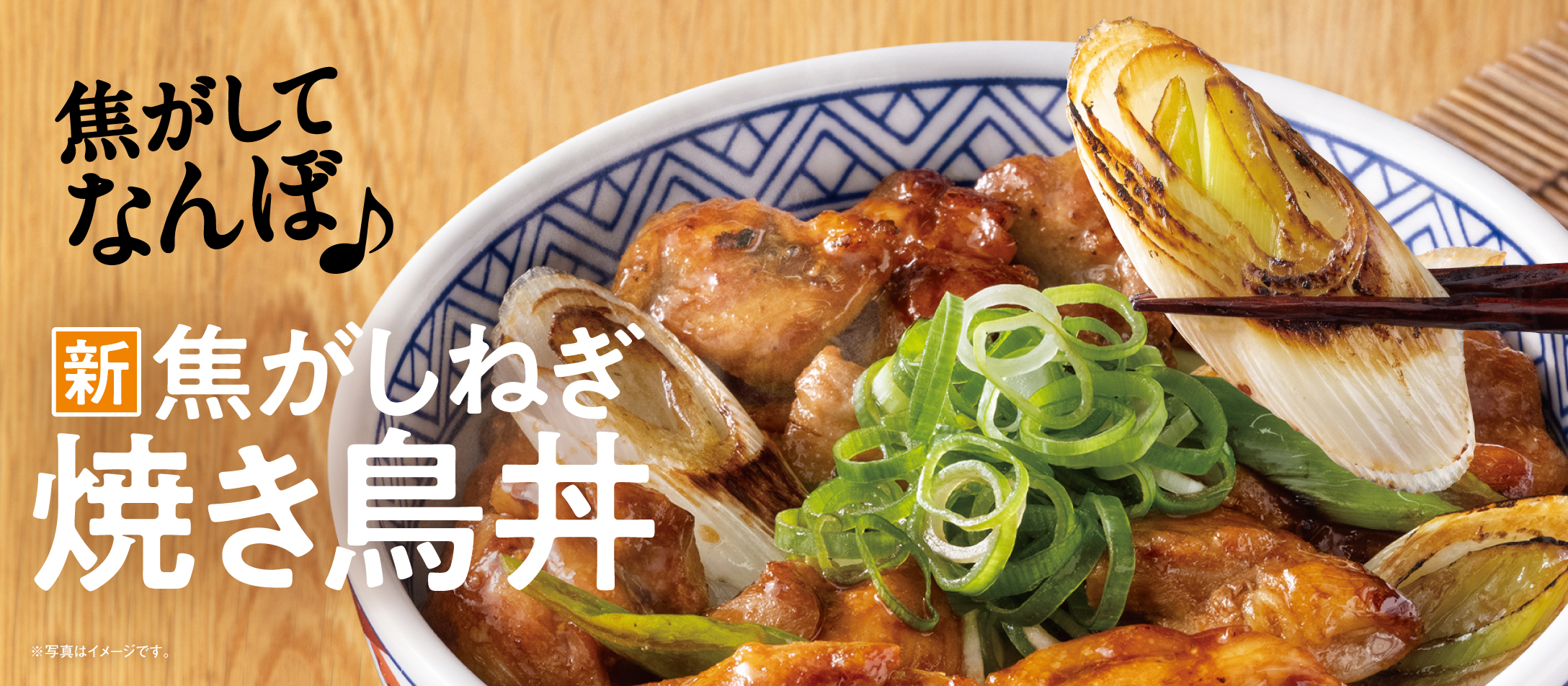 Kogashi Negi Yakitori Don