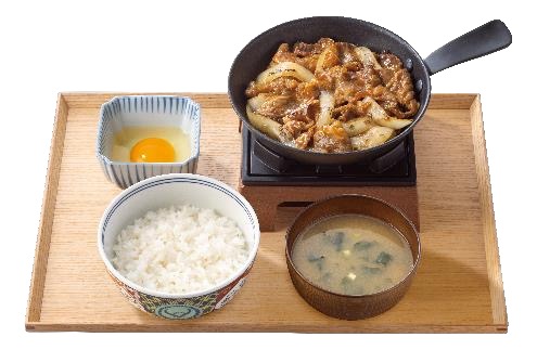 から揚げ丼（並盛）